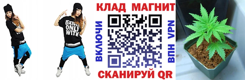 МЕФ Гдов