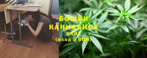 ПСИЛОЦИБИНОВЫЕ ГРИБЫ Арсеньев