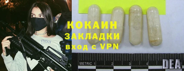 ПСИЛОЦИБИНОВЫЕ ГРИБЫ Арсеньев
