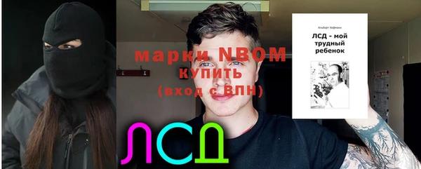 ПСИЛОЦИБИНОВЫЕ ГРИБЫ Арсеньев