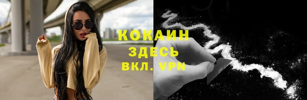 трава Аркадак