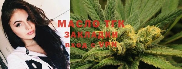трава Аркадак