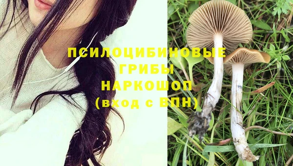 ПСИЛОЦИБИНОВЫЕ ГРИБЫ Арсеньев