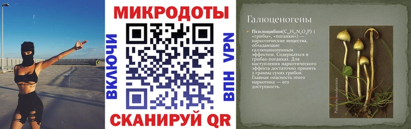 как найти закладки  hydra зеркало  Псилоцибиновые грибы GOLDEN TEACHER  Гдов 